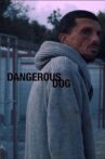 Dangerous Dog Movie Streaming Online