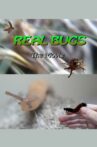 Real Bugs: The Movie Movie Streaming Online