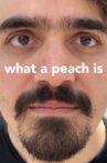 What a Peach Is Movie Streaming Online