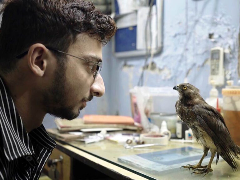 All That Breathes And Its Tragic Unavailability On Indian OTT