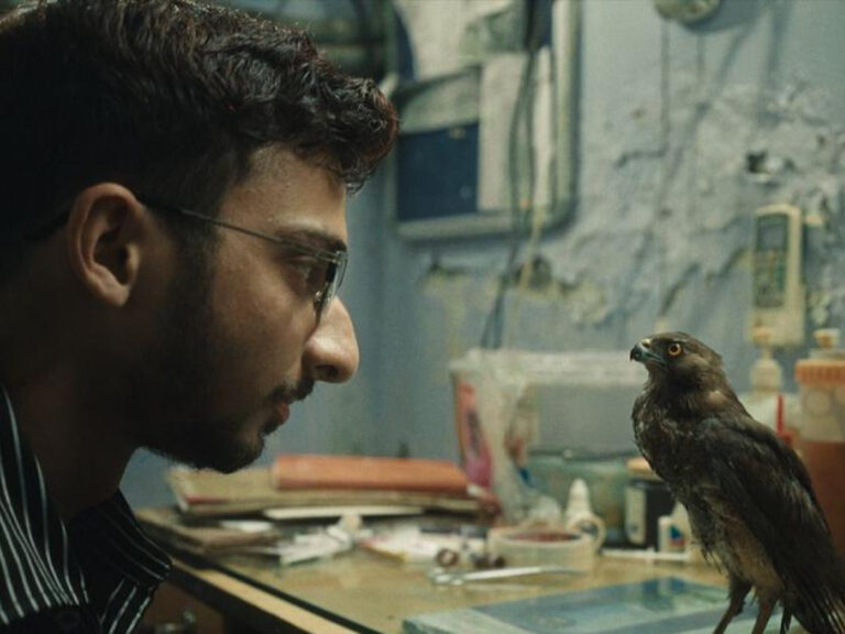 Finally! All That Breathes Now Streaming On Indian OTT!