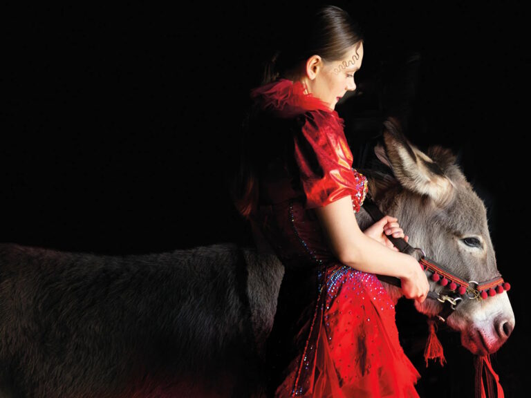 Polish Oscar Nominee Film ‘EO’ OTT Release Date, Platform Out