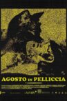 Agosto in pelliccia Movie Streaming Online