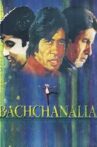 Follow That Star - Amitabh Bachchan Movie Streaming Online