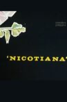Nicotiana Movie Streaming Online