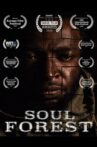 Soul Forest Movie Streaming Online