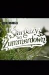 Stargazy on Zummerdown Movie Streaming Online