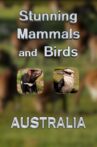 Stunning Mammals and Birds: Australia Movie Streaming Online