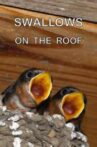 Swallows on the Roof Movie Streaming Online