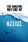 The Amazing Nature of Belize Movie Streaming Online