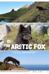 The Arctic Fox Movie Streaming Online