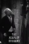 The Perfect Husband Movie Streaming Online