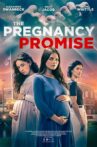 The Pregnancy Promise Movie Streaming Online
