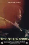 They Flew Like Blackbirds Movie Streaming Online