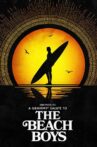 A Grammy Salute to The Beach Boys Movie Streaming Online
