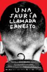 A Wolfpack Called Ernesto Movie Streaming Online