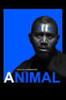 Animal Movie Streaming Online