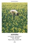 Aurora Movie Streaming Online