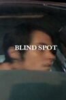 Blind Spot Movie Streaming Online