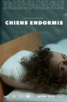 Chiens endormis Movie Streaming Online