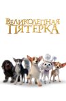 Великолепная пятерка Movie Streaming Online