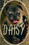 Daisy Movie Streaming Online