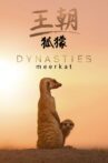 Dynasties: Meerkat Special Movie Streaming Online