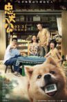 忠犬八公 Movie Streaming Online