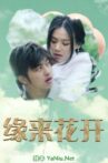 缘来花开 Movie Streaming Online