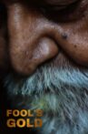 FOOL'S GOLD Movie Streaming Online