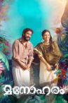 Manoharam Movie Streaming Online