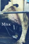 Milk Movie Streaming Online