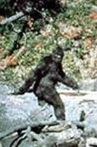 Patterson-Gimlin Film Movie Streaming Online