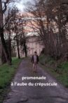 Promenade à l'aube du crépuscule Movie Streaming Online
