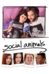 Social Animals Movie Streaming Online