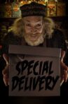 Special Delivery Movie Streaming Online