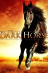 The Dark Horse Movie Streaming Online