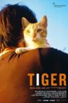 Tiger Movie Streaming Online