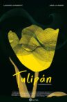 Tulip Movie Streaming Online