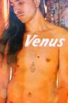 Venus Movie Streaming Online