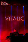 Vitalic - Concert aux Vieilles Charrues Movie Streaming Online