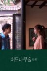 Willow Tree Forest Yangnim Movie Streaming Online