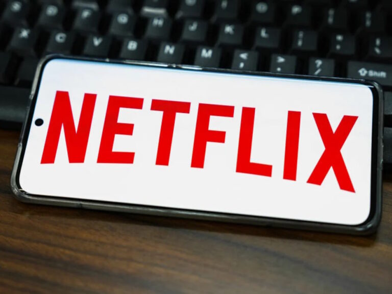 Brutal Trolling Of Meter On Netflix Is A Lesson For Tollywood!