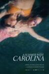 A Summer with Carolina Movie Streaming Online