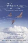 Flyways Movie Streaming Online