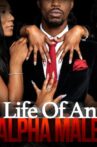 Life of an Alpha Male Movie Streaming Online