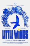 Little Wings Movie Streaming Online