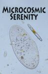 Microcosmic Serenity Movie Streaming Online