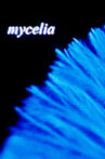 mycelia Movie Streaming Online