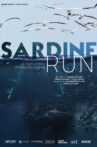 Sardine run, le plus grand festin de l'océan Movie Streaming Online